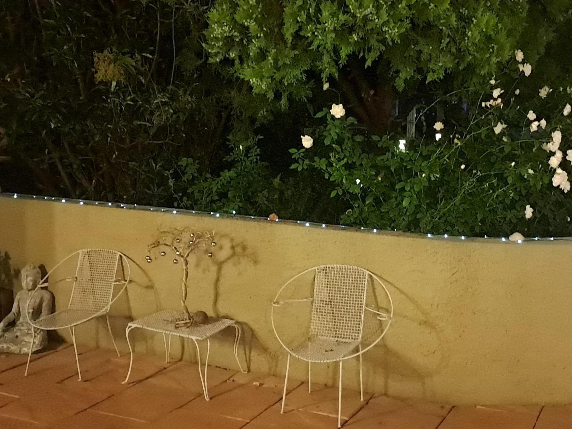 Gabbys Cottage Guesthouse Bloemfontein Exteriör bild